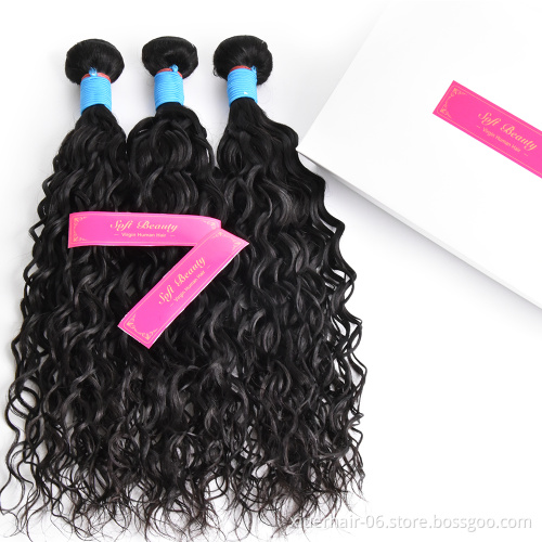 Soft Smooth Healthy Ready Stock Brazilian Raw 12A Vendors Wholesale Cuticle Aligned Virgin Hair Bundles with Lace Closure